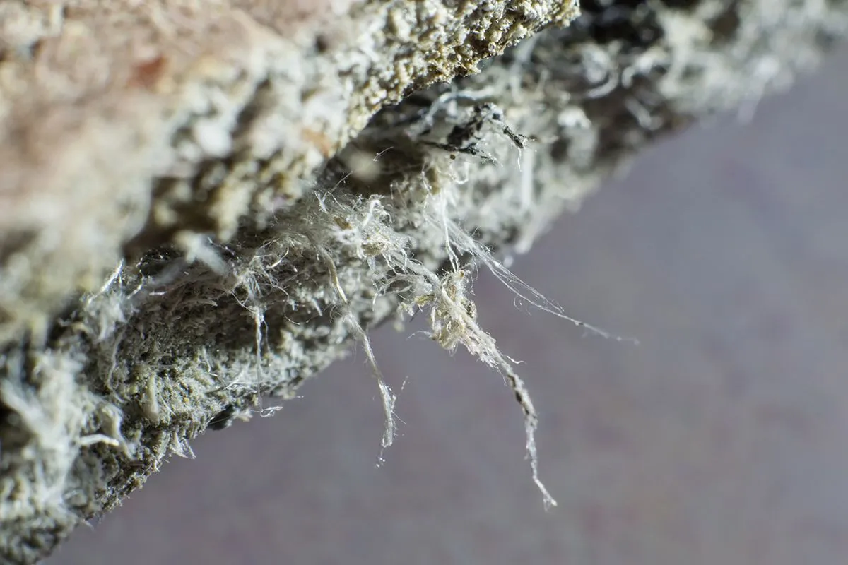 Asbestos